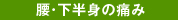 腰・下半身の痛み
