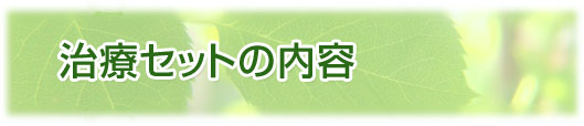治療セットの内容