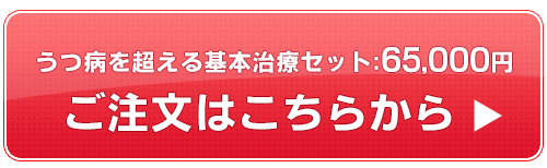 うつ病を超える基本治療セット