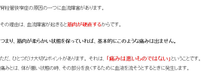 脊柱管狭窄症の原因の一つに血流障害があります。