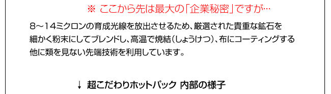 ここから先は最大の企業秘密ですが・・・