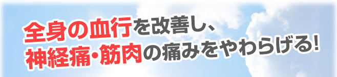 全身の結構を改善し、神経痛・筋肉の痛みをやわらげる。